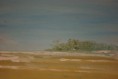 ISLA CON PALMERAS